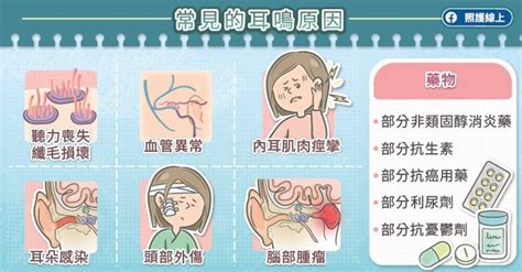 耳鳴是什麼感覺|耳朵嗡嗡響、耳鳴怎麼辦？圖解6大耳鳴原因，4症狀速。